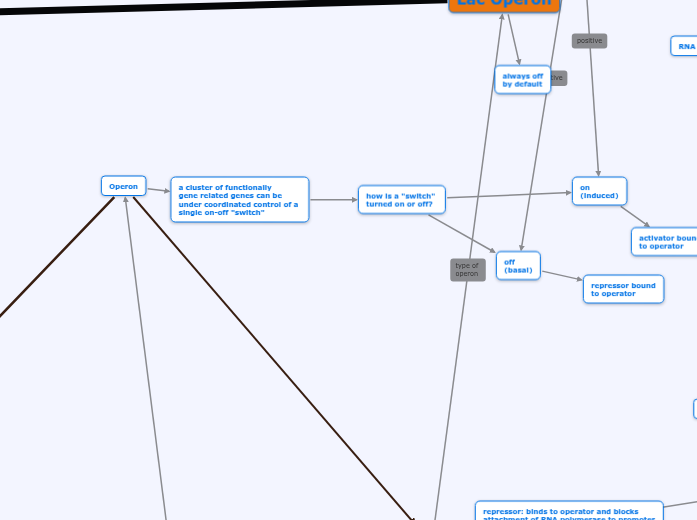 Regulation of Gene Expression Mind Map